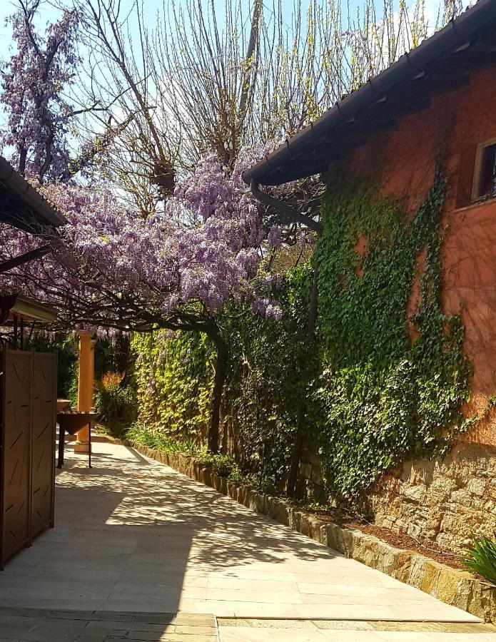 Mulino Dell'Abbazia Country Resort Corno di Rosazzo Ngoại thất bức ảnh